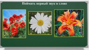 Урок 8 Определение количества звуков в слове. Начальная школа. Презентации.