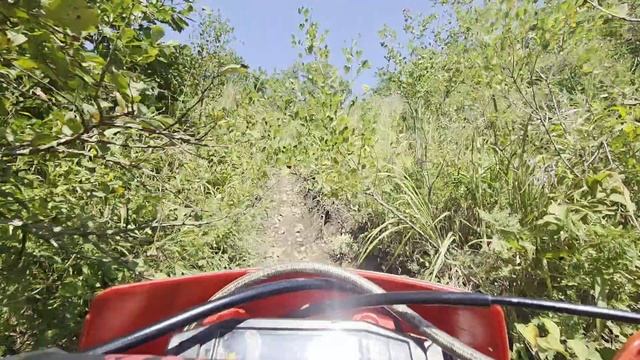 ТВ 11.09.2025 смотреть онлайн