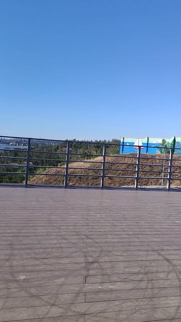 1000014314.mp4 смотреть онлайн