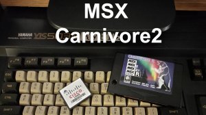Запись и удаление игр на флеш картридж Carnivore2 (MSX)