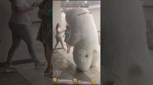 13.07.2025.  г. Томск. "Сюрприз от друзей".