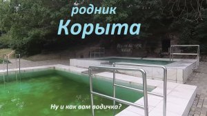 Родник Корыта в Мамайском лесу Ставрополя.