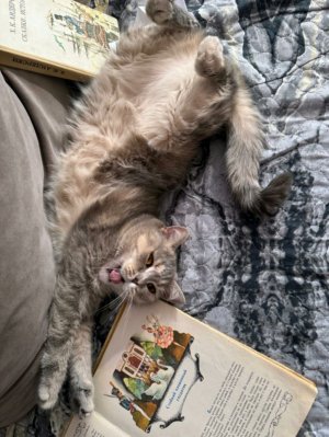 я в моменте 😅😅😅