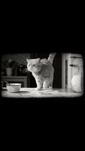 Culinary adventure from bygone era #SilentFilm #VintageVideo #CharlieChaplin #BlackAndWhite #Comedy