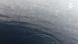 Рыбалка на щуку!!Ловим в коряжник!!!Рыбалка на лодке с электромотором!!