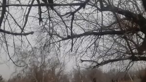 измена №4