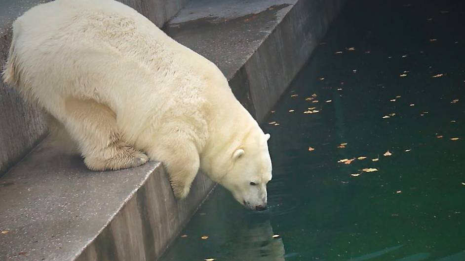 Не хочу и не буду! Герде бросили ужин в воду, а она не хочет мочить шубку.