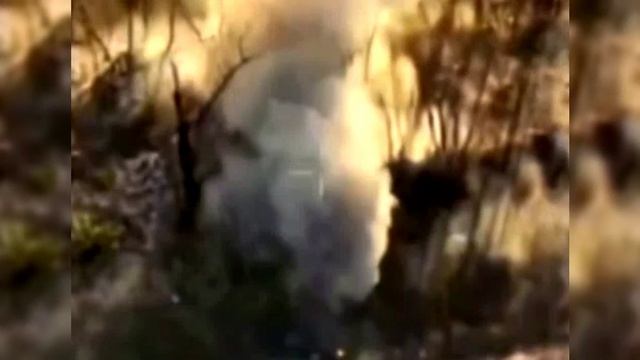 Карлсон, Малыш и Ко... 12 09 25