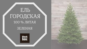 Black Box - Обзор искусственной ели Городская 100% литая, зеленая