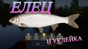 ТРОФЕЙ УКЛЕЙКА И ЕЛЕЦ!!!РЕКА ВЬЮНОК - РУССКАЯ РЫБАЛКА 4