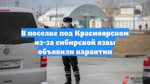 В поселке под Красноярском из-за сибирской язвы объявили карантин