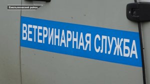 Программа "Главные новости" на 8 канале от 12.09.2025 Часть 1