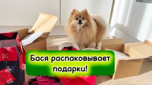 Бася распаковывает подарки!