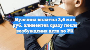 Мужчина оплатил 3,6 млн руб. алиментов сразу после возбуждения дела по УК