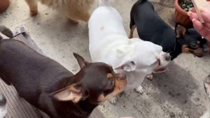 Все с удовольствием перекусили.