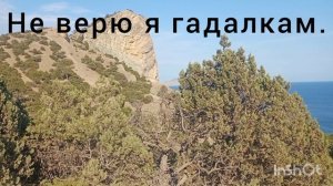 промокшая кукушка на е́лке куковала.mp4