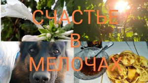 Назад в прошлое.Сеем, пашем.Сокровища Тамерлана.