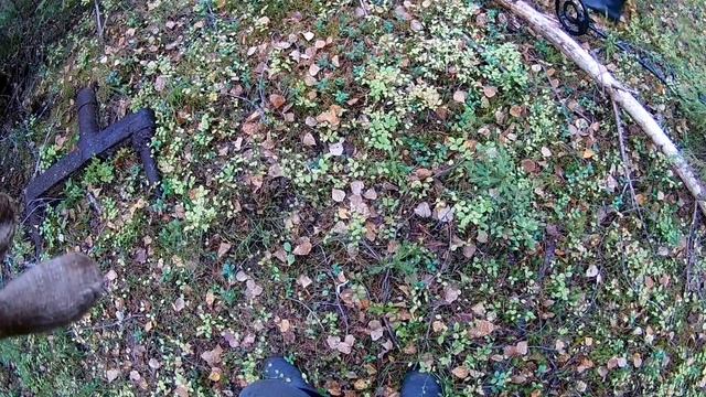 Тайга. Металлокоп. Газ 66 смотреть онлайн