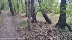 Зелёный остров. Омск. 12 сентября 2025 года.