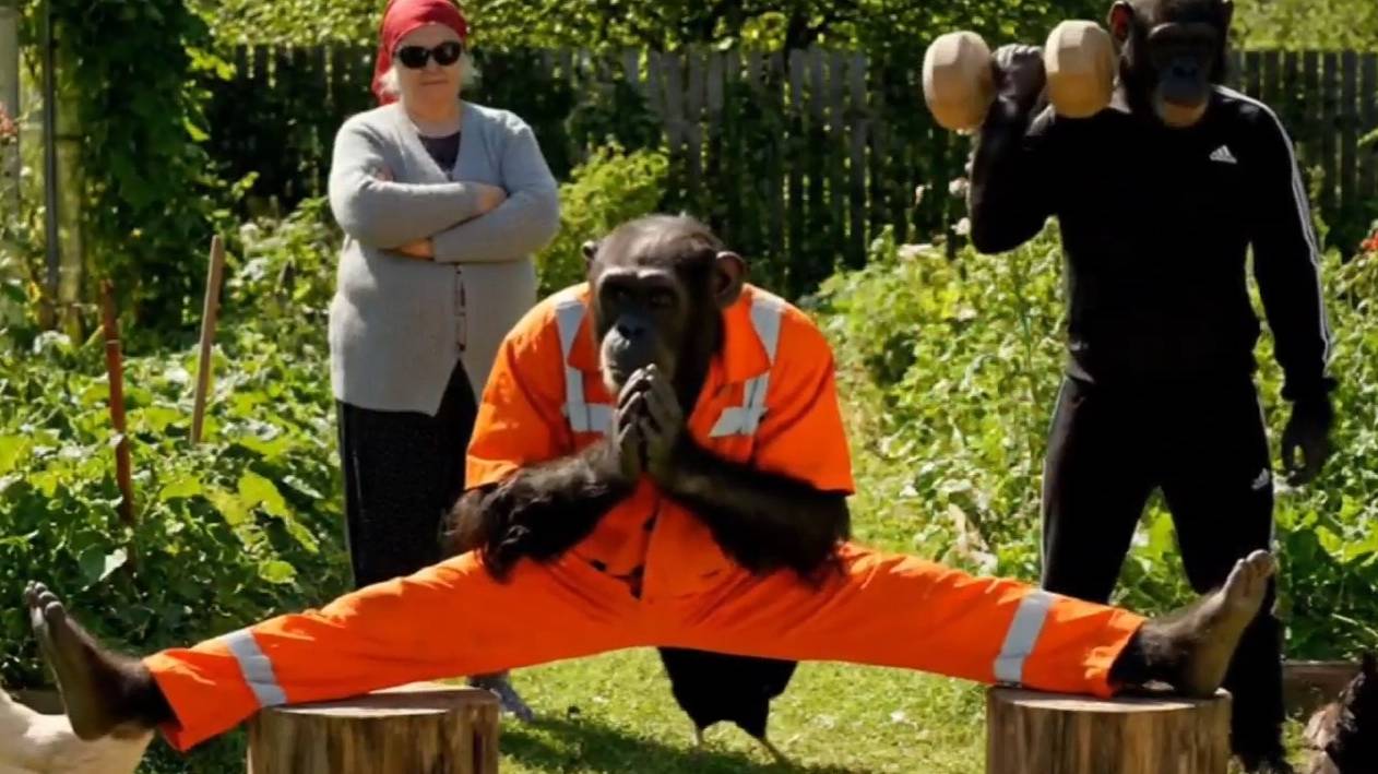 Бабка Взяла на прокачку Братьев Обезьяновых смотреть онлайн