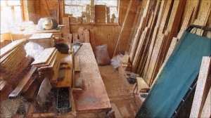 3-2016 Невинная морда и зверский аппетит!