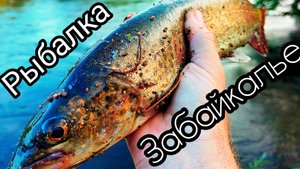 ВПЕРВЫЕ РЫБАЧУ В ЗАБАЙКАЛЬСКОМ КРАЕ!