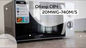 Обзор СВЧ 20MWG-740M/S