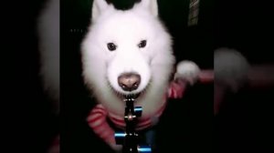 Сам себе оператор.mp4