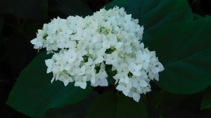 04=09=2025   Ц  КМР   (6)