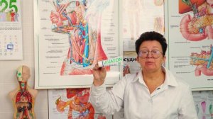 Секрет зубной пасты, которая должна быть в каждой дамской сумочке, бардачке машины для первой помощи