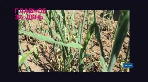 Опасные овощи чуть не попали на прилавки магазинов республики