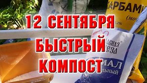 12 сентября. Что я делаю, чтобы компост быстрее созрел