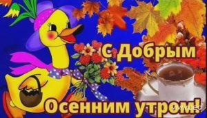 Доброго осеннего утра