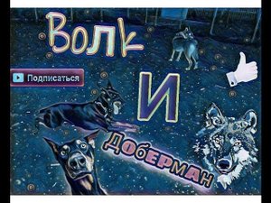 ЧЕХОСЛОВАЦКИЙ ВЛЧАК и ДОБЕРМАН
