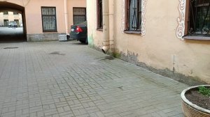 Проходные дворы Питера и Ковенский переулок