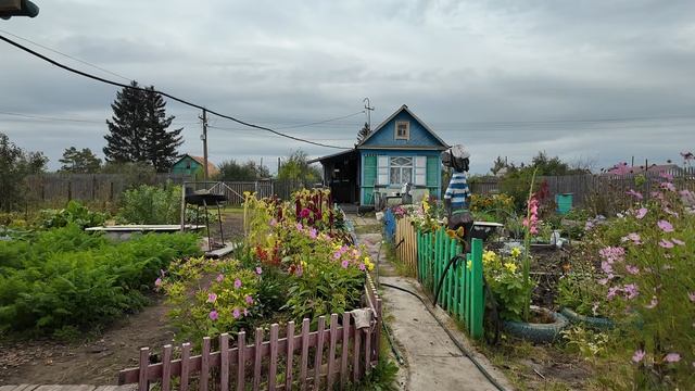 На даче все становится пусто // Невероятно красиво Цветы цветут #вгостяхунатальи