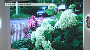 Время местное. Эфир: 12-09-2025 - Мой сад - души отрада!