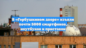 В «Горбушкином дворе» изъяли почти 5000 смартфонов, ноутбуков и приставок