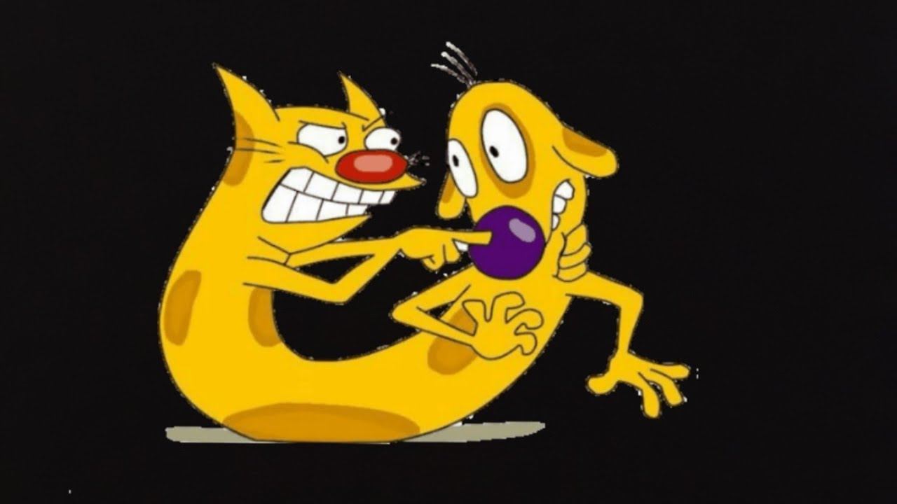 Бенгальская кошка в квартире