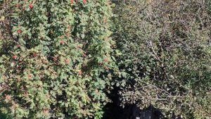 Ветер в деревне, сентябрьский день в деревне