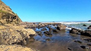 Auckland’s West Coast from Above & Below | 4K Nature Escape with Peaceful Music