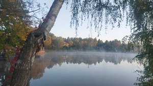 Москва .туман