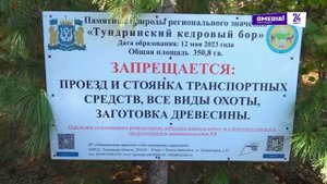 Новости. Сургут 24. Дневной выпуск. 12.09.2025