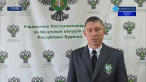 В Бурятии в овощах обнаружены пестициды, которые не допускаются к применению