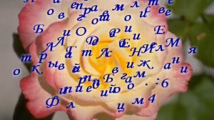 БЛАГОДАРЕНИЕ