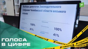 Больше 100 тысяч южноуральцев проголосовали с помощью ДЭГ