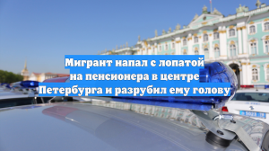 Мигрант напал с лопатой на пенсионера в центре Петербурга и разрубил ему голову