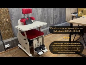 Реабилитационное кресло для детей-инвалидов| RusMedical: Оборудование для реабилитации