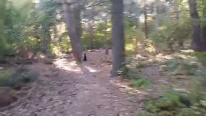 Лес и Роман-Кош Царина Монплезир. Ялта. 8.09.25. дочь Пули и Зигзага