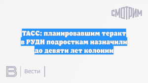 ТАСС: планировавшим теракт в РУДН подросткам назначили до девяти лет колонии
